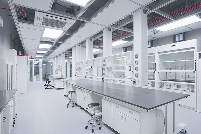 桃城实验室革新：安全与科技的现代融合